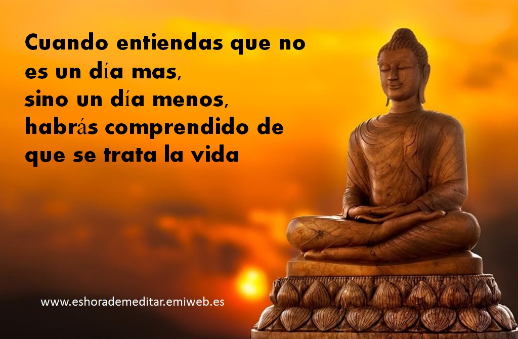 El camino de la vida