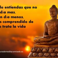 El camino de la vida